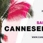 CANNESERIES : la saison 4 du festival décalée à octobre 2021 - News Séries à la TV