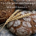 Y a-t-il du gluten dans l’épeautre et le petit épeautre ?