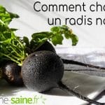 Recette de radis noir en salade