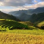 Les différents visas pour le Vietnam