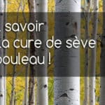 Les bienfaits de la sève de bouleau, la cure de sève de bouleau