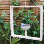 Réalisez une mangeoire à oiseaux décorative