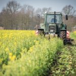 « Des bras pour ton assiette », le site qui aide les agriculteurs à trouver de la main d'oeuvre