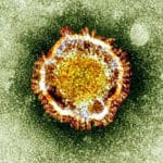 Bill Gates pense que le vaccin pourrait arriver en neuf mois seulement
