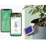Des potagers qui analysent notre micro-climat pour cultiver des légumes adaptés
