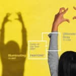 Les couleurs Pantone 2021 sont Ultimate Gray et Illuminating
