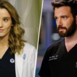 Chicago Med sur TF1 : pourquoi Colin Donnell et Norma Kuhling ont-ils quitté la série ? - News Série...