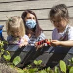 Covid France : les derniers chiffres