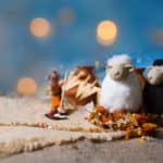 date en France, traditions et recettes