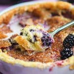 Gratin de mûres : une recette facile à faire après la cueillette