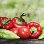 Poivrons rouges, verts ou jaunes ? Une couleur est bien plus profitable que les autres