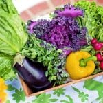 Les bienfaits des légumineuses pour fertiliser votre potager de manière naturelle