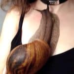 Ils adoptent des escargots géants chez eux