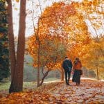 Les feuilles mortes sont en retard, alors il faudra faire doublement attention à votre jardin cet hi...