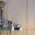 Un pommeau de douche impeccable ne demande que ce petit accessoire d'hygiène