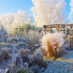 Ces endroits du jardin sont ceux qui craignent le plus le gel