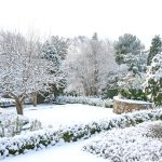 Avoir un beau jardin en hiver c'est possible