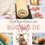 Quel biscuit choisir pour vos bûches roulées ? On compare tout !