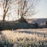 Comment entretenir sa pelouse en hiver et la préparer pour le printemps ? Ces gestes limitent les dé...