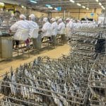 Porto: Pinhais Cannery ⋆Anne's Kitchen