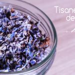 Tisane de lilas : comment la préparer (et recette de thé vert au lilas)