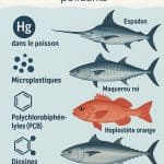 Mercure dans le poisson, contamination par les polluants