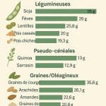 Végétaux les plus riches en protéines végétales
